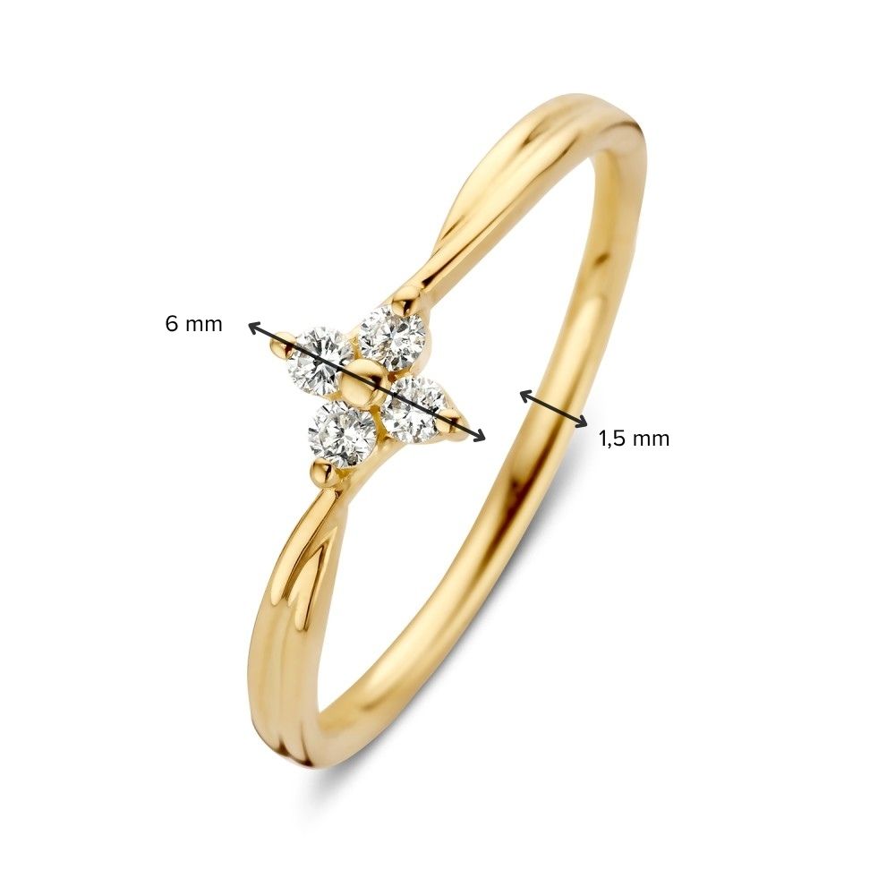 Ring Violet 0,10 Karat Gelbgold