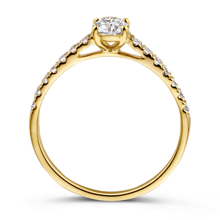 Ring Franky Royal 0,75 ct. Gelbgold